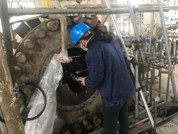 中石化金陵分公司焦化裝置富氣壓縮機干氣密封